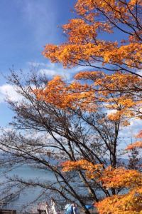 Molii69 海南迎賓館二號樓優惠