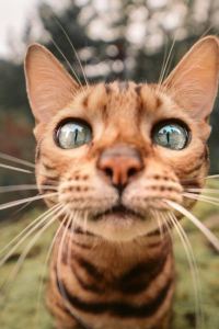 Nansilafudeququ 深圳趣墅HAJANA海邊民宿優惠