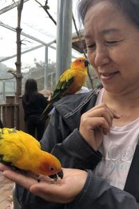 Suibianyizou 星期一公寓Premium京都七條堀川優惠