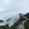 Avatar 1