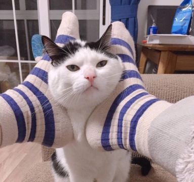 user-avatar