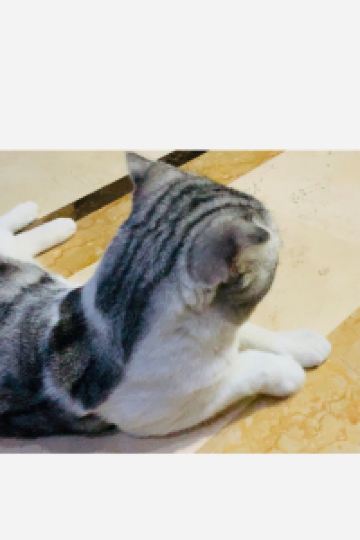 Andehesnow 湯山荘 阿讃琴南 クーポン