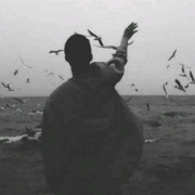 head-img
