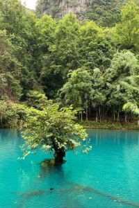 320163**** 蘇州觀前街亞朵飯店優惠