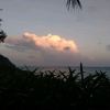 user-icon
