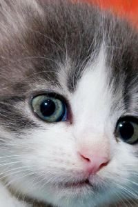 _WeChat245172**** 深圳福田下梅林地鐵站CitiGO歡閣飯店優惠