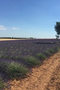 1182232678 行政復古公園酒店優惠