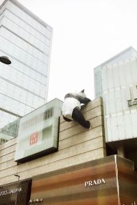 訪客用戶 京都珀蒂飯店優惠