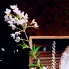 Avatar 2