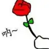 user-icon