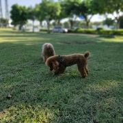 user-avatar