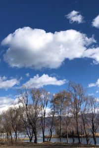 lingmei1221 東莞雅詩閣松山湖服務公寓優惠