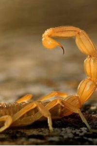 Qianzhuodichang 天津海河假日酒店優惠