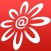 user-icon