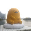 大聰888