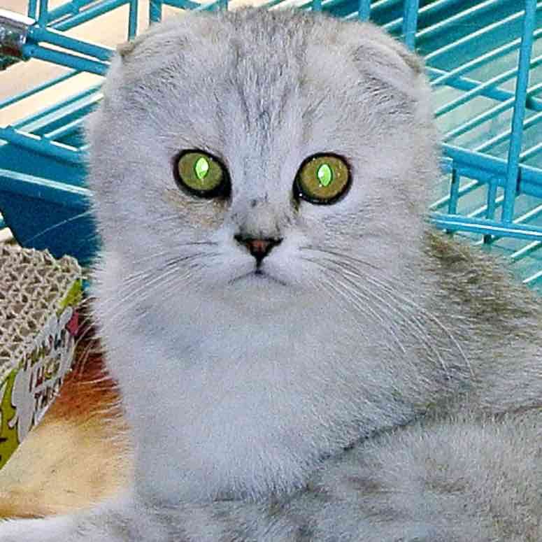 user-avatar