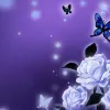Avatar 2