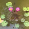 Avatar 3