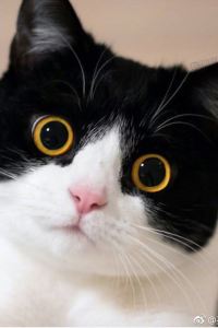 Luludelu 北京西長安美居飯店優惠