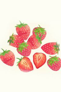 caosiyummmm 康奈爾大學斯塔特勒酒店優惠