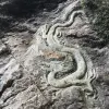 Avatar 1