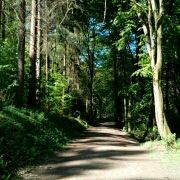 wujiaochang 雲糧金泉大酒店（穿心鼓樓地鐵站店）優惠