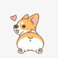 尹小Fei