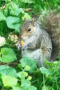 Aolanrelieyilouqian 廣州中國大酒店優惠