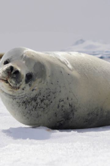 LonggeLukas 珠海粵財皇冠假日酒店優惠