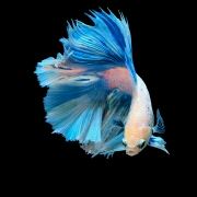 bobo_8899 榆漫居（深圳羅湖水貝國際珠寶城店）優惠