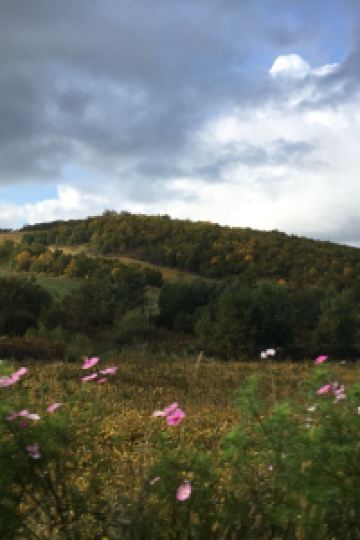 M234252**** 珠海石花66號公寓優惠