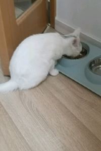 Xxinxin 崑山皇冠假日飯店優惠