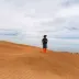 野枫印象