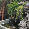 https://ak-d.tripcdn.com/images/Z80s170000011kfkt7678.jpg