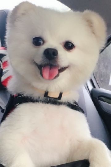 訪客 相鐵FRESA INN 銀座七丁目優惠