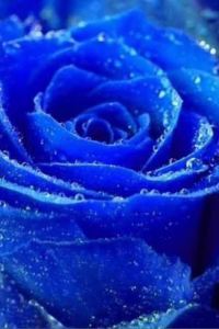 Yuxuan 鄭州富力萬達文華酒店優惠