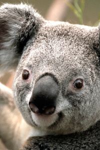 Xiaoxiaokani 寧波璞緹海飯店優惠