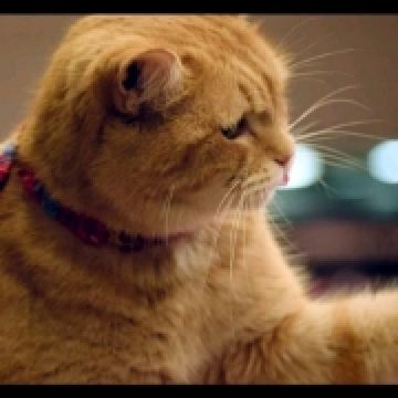 Nanxinghuayoulun 相鉄フレッサイン 仙台 クーポン