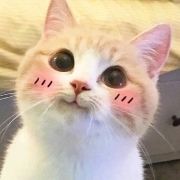 M258029**** 森派柏酒店優惠