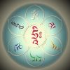 user-icon