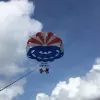 Avatar 2