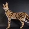 Avatar 2