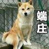 user-icon