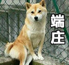https://ak-d.tripcdn.com/images/Z80t17000001176sk386A.jpg