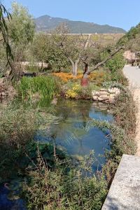 103621**** 潮州財富中心希爾頓歡朋酒店優惠