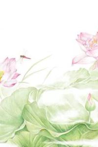 Yena 高雄華賓旅館優惠