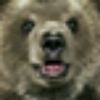 user-icon