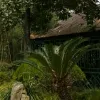 Avatar 1