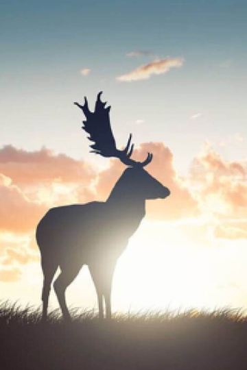 Weiyisiwei ホテル天山閣 湯楽庵 クーポン