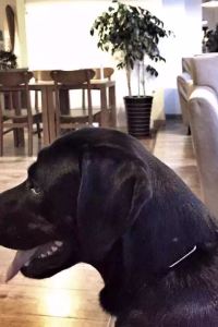 Banbudaozhaohu 桔子水晶深圳南山科技園酒店優惠